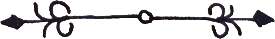 A handdrawn divider in ink.